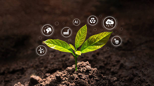 End to End Agricultural Project Delivery