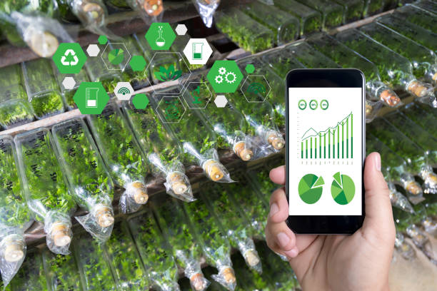 Agricultural Dashboards and Analytics