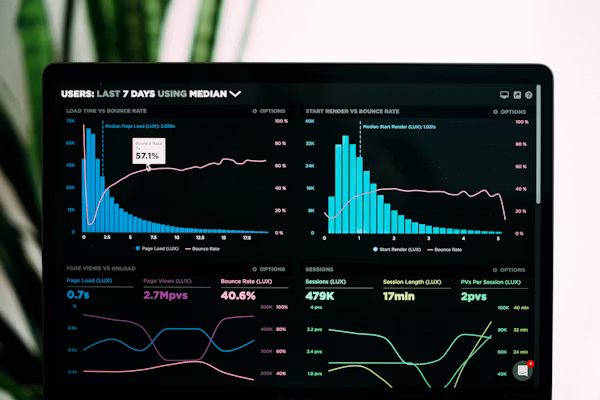 Dashboards and Business Analytics