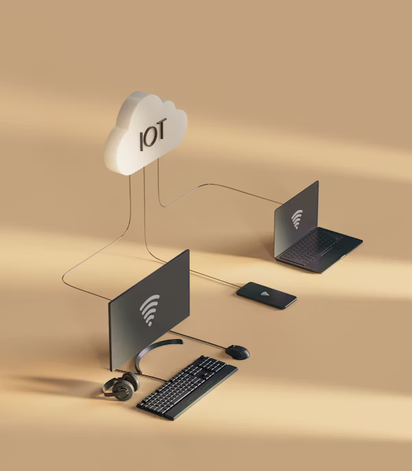 Infrastructure and Connectivity Services