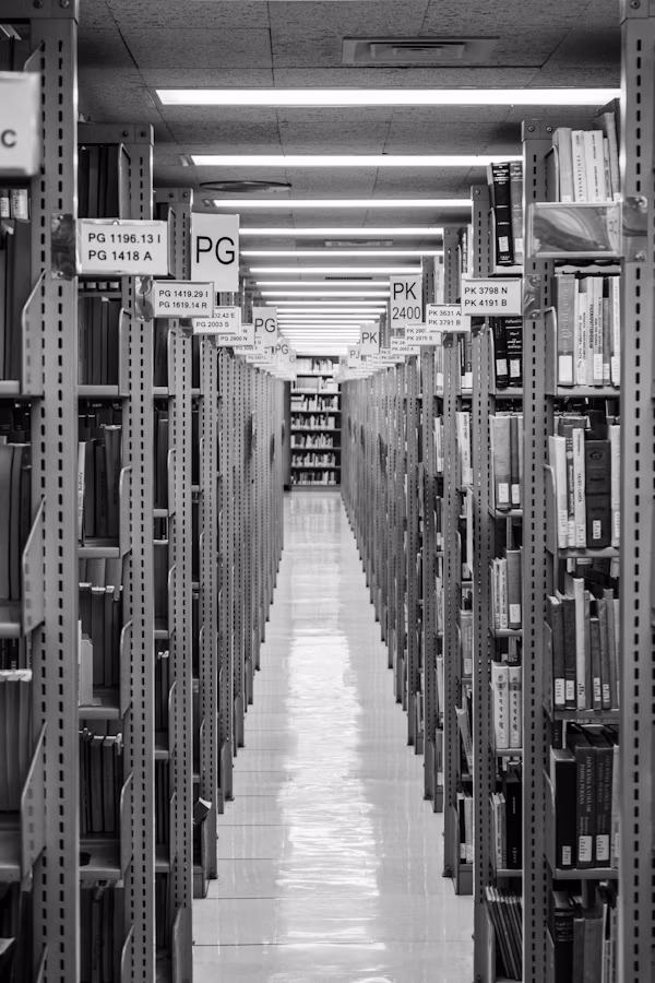 System Development Services